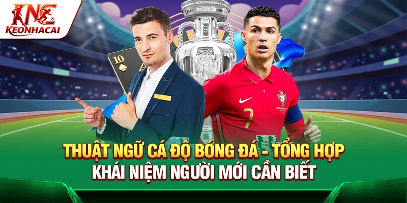 https://yuriprotocol.io/thuat-ngu-ca-do-bong-da/